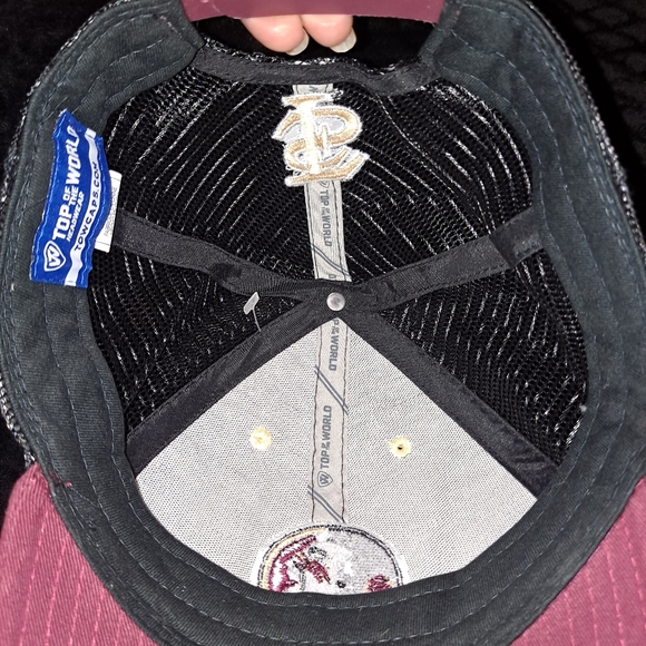 Florida State Seminoles - Picture 4 of 6